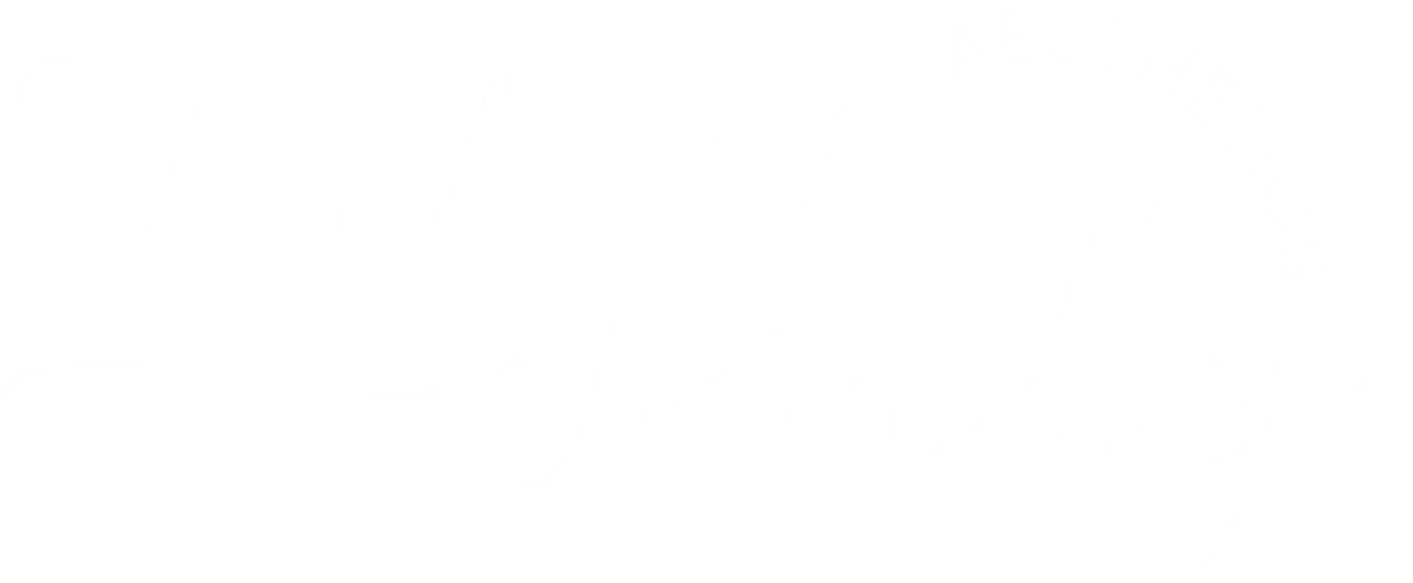 THE BEAUTY HOUSE ACADEMY